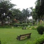 Best Ways to Enjoy Urban Green Spaces