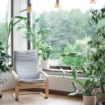Sustainable Home Trends for Modern Buyers