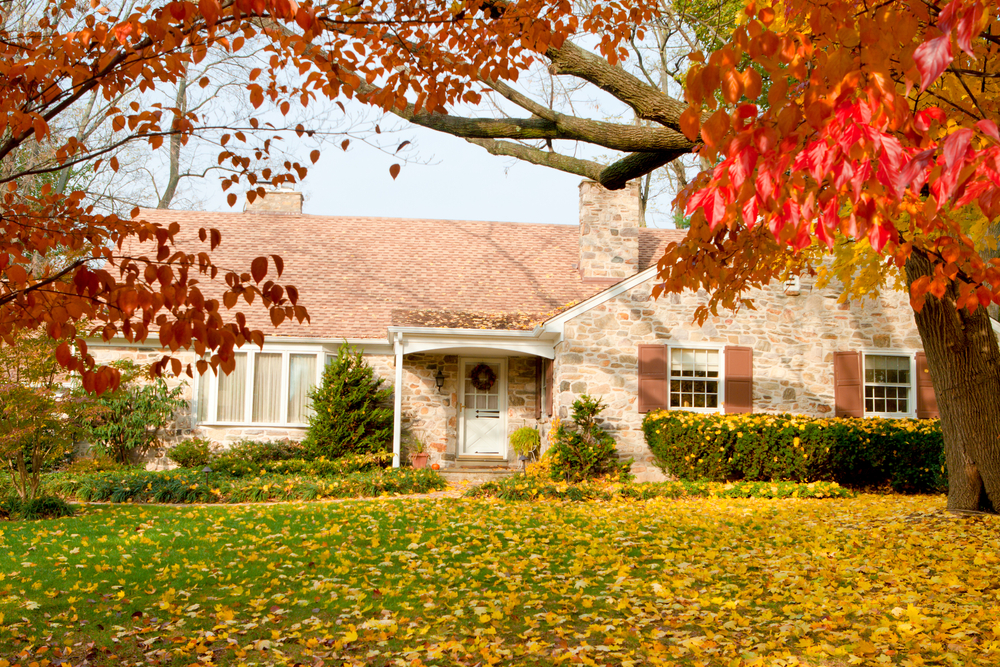Fall Landscaping Made Simple: Expert Tips for a Stunning Yard
