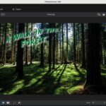 7 Must-Have Photo Editing Apps for 2025