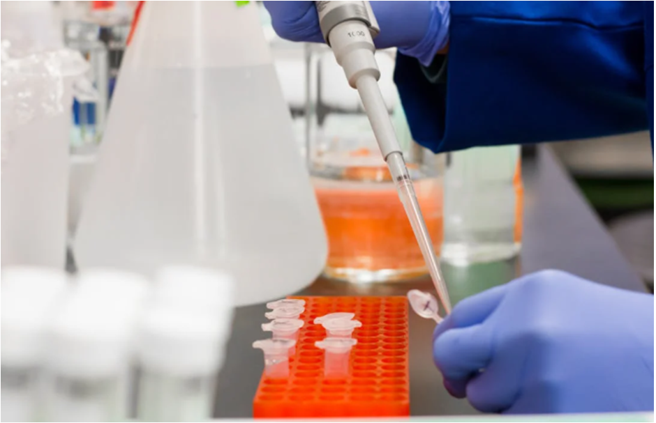 What Labs Gain from Standardized Test Compendiums