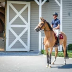 How to Prepare Your Horse for Competitive Events